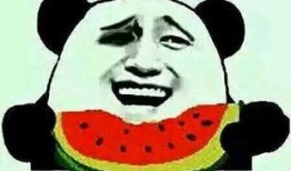 娱乐圈吃瓜群众是谁啊