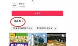 缅甸爆料视频最新网站,揭秘真相与争议